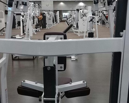My Health Club: Your Ultimate Fitness Destination in Houston