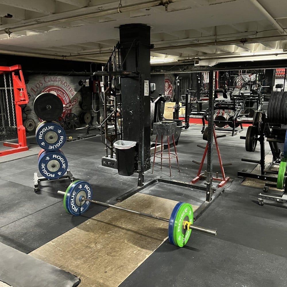 My Health Club: Your Ultimate Fitness Destination in Minneapolis My Health Club: Your Ultimate Fitness Destination in Minneapolis