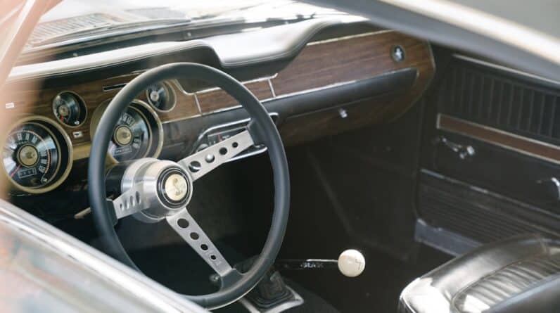 Photo Muscle definition