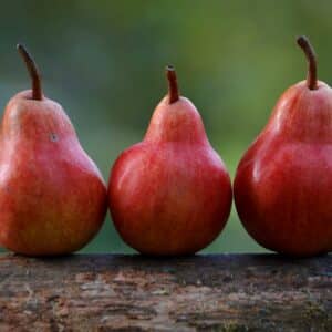 Photo Healthy community