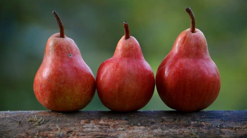 Photo Healthy community