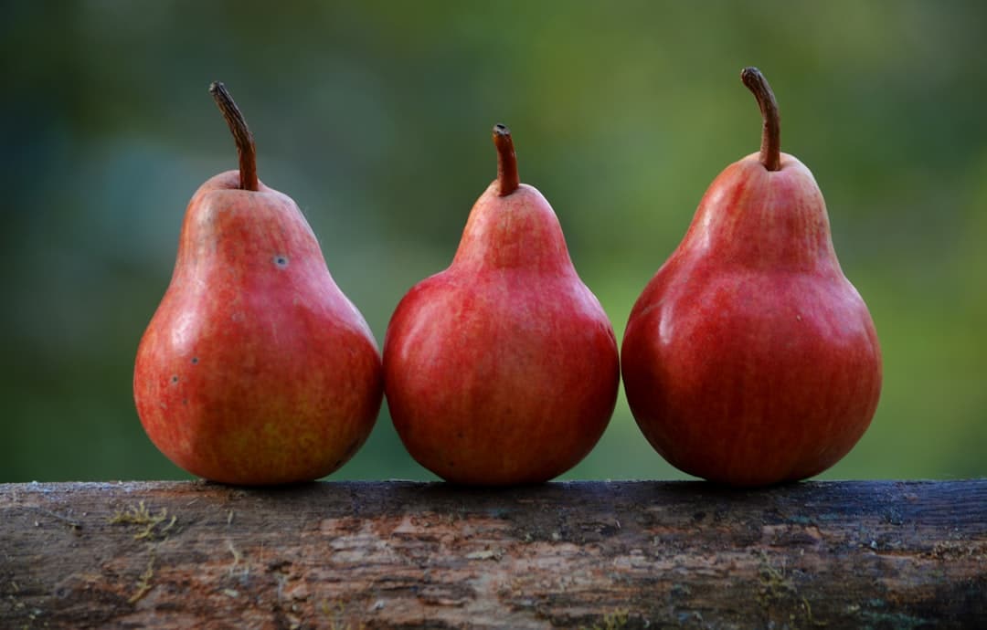 Photo Healthy community