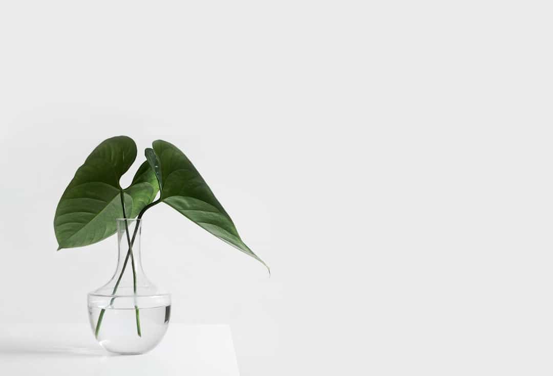 Photo Health website