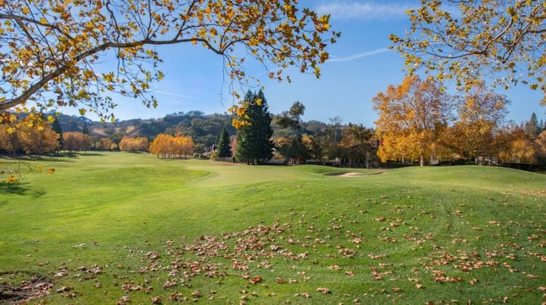 Photo Health Club Trial