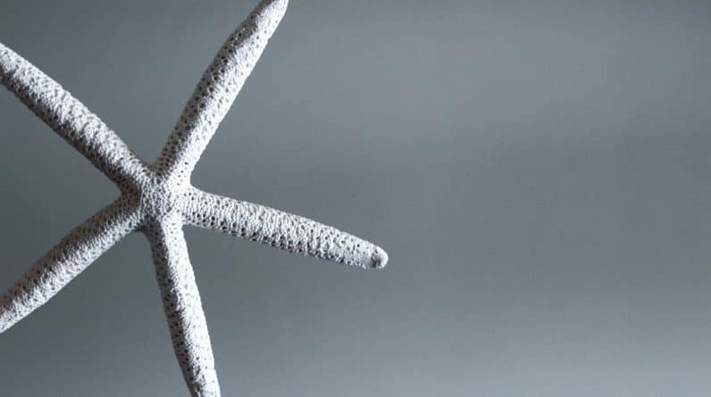 Photo Crossfit Chandler Az Membership Freeze Option